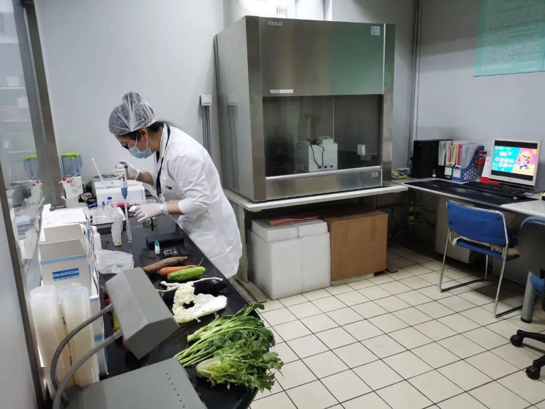 龙湖镇食品检测实验室装修方案